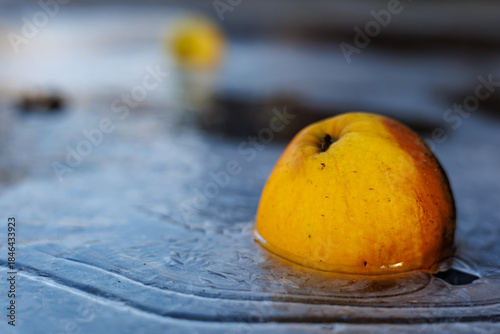 Close-up of a Fallen Yellow Apple Fully Frozen in a Thick Layer of Glazed Ice on the Ground, Winter Nature Concept with Frost and Cold
