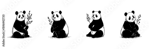 Panda Holding Bamboo Doodle Sketch Set. Wildlife Conservation And Nature Symbolism In Hand Drawn Style Collection. Adorable Panda Illustrations. Isolated Vector Illustration