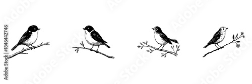 Birds On Branches Doodle Sketch Set. Nature And Wildlife Illustration In Hand Drawn Style Collection. Ornithology And Birdwatching Art. Isolated Vector Illustration