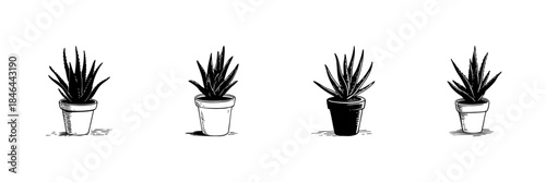 Potted Succulent Plant Doodle Sketch Set. Indoor Gardening And Home Decor In Hand Drawn Style Collection. Botanical Illustration For Nature Enthusiasts. Isolated Vector Illustration