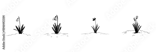 Spring Flowers Doodle Sketch Set. Seasonal Blooming And Nature Awakening In Hand Drawn Style Collection. Botanical Illustration Of Snowdrops And Crocuses. Isolated Vector Illustration