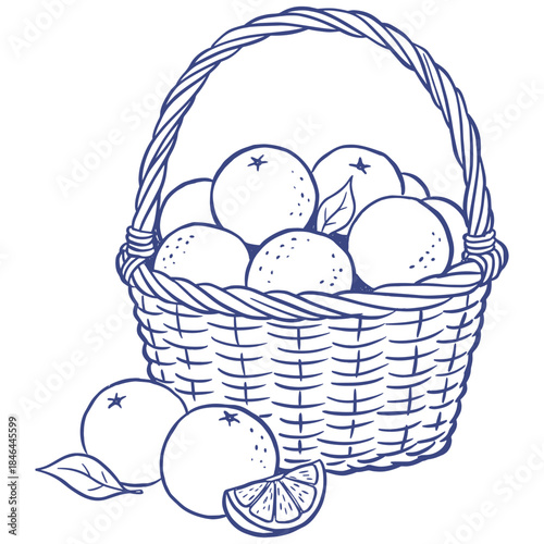 Basket of Fresh Oranges.Hand Drawn Citrus Harvest.Rustic Fruit Line Art.Organic Farmer Market Basket.Summer Orange Doodle