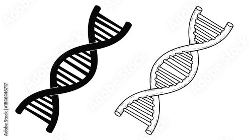 Detailed illustration of a dna double helix structure in black and white