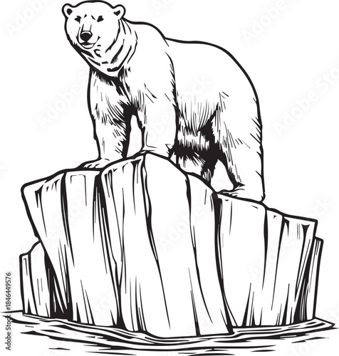 Hand drawn vector sketch illustration of a sitting polar bear cub, a black and white wild mammal