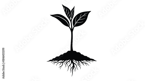 A delicate sprout with roots emerges from dark soil symbolizing new life