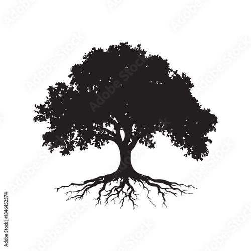 Tree with roots silhouette, Black and white silhouette of a tree with exposed roots, Silhouette of a majestic tree showing roots