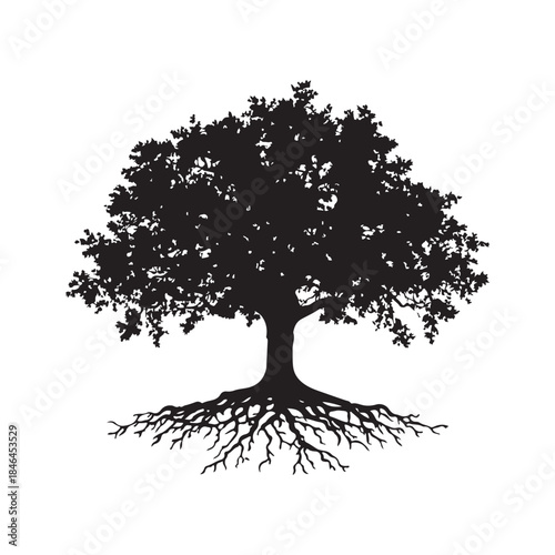 Tree with roots silhouette, Black and white silhouette of a tree with exposed roots, Silhouette of a majestic tree showing roots