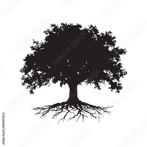 Tree with roots silhouette, Black and white silhouette of a tree with exposed roots, Silhouette of a majestic tree showing roots