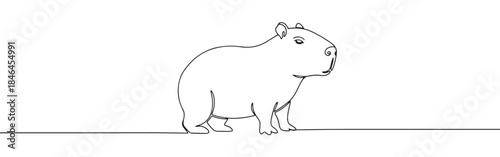 Continuous one line drawing of a capybara. Vector illustration of a standing wild animal isolated on white background. Minimalist South American wildlife concept