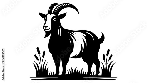 Illustration of a black and white goat standing in grass and reeds