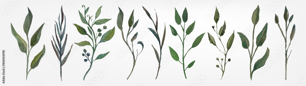 Fototapeta premium Watercolor green branches with delicate foliage and natural stems. Hand painted plant greenery, botanical sprigs and organic branch arrangements for wedding invitations. Elegant sprigs design.