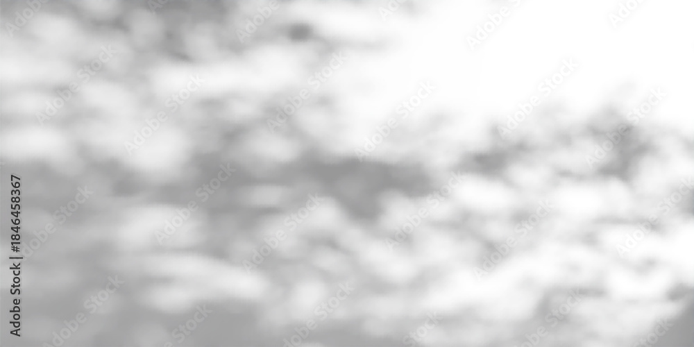 Fototapeta premium Gobo light effect with leaf shadows on white wall - natural sunlight pattern overlay. Tree foliage silhouette - dappled texture for studio background design with soft rays and bright reflections.