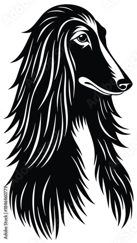 Silhouette of Horse Head