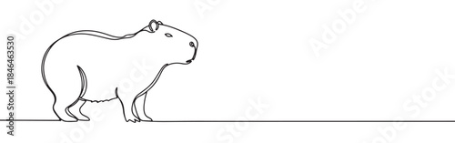Continuous one line drawing of a capybara. Vector illustration of a standing wild animal isolated on white background. Minimalist South American wildlife concept