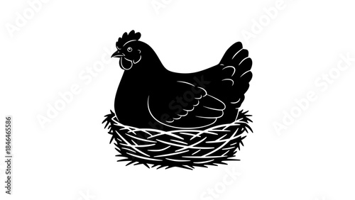 Black chicken sitting in a nest, farm animal illustration