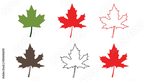 Vibrant maple leaves in various colors and styles for design