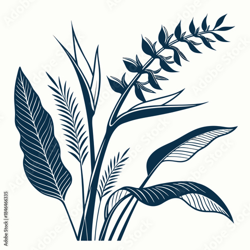 heliconia pendula leaf silhouette on white background