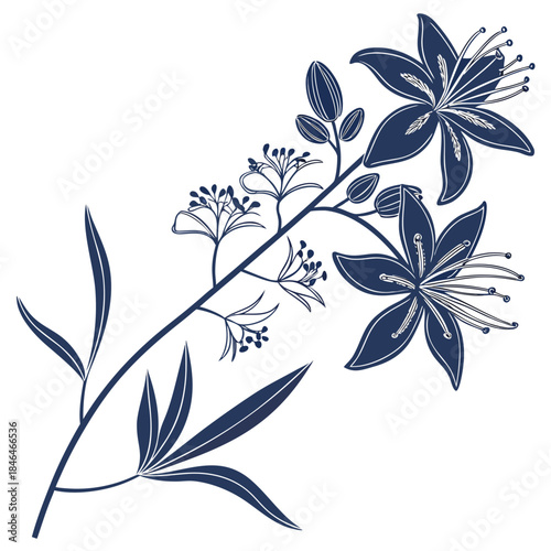 hyssop blue anis flower with leaves