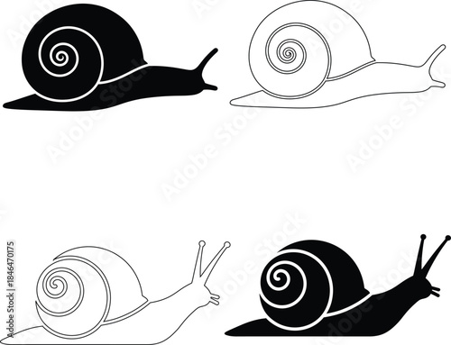 Snail with Shell Vector Icons – Garden Insect and Slow Animal Symbols