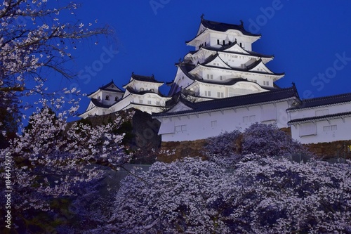 Wallpaper Mural 姫路城　春のライトアップ Torontodigital.ca