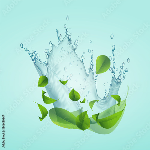 Pure eco concept with water and natural leaves.