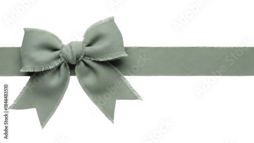 Konstfotografi Isolated sage green ribbon and bow with frayed edges for wrapping gifts and pack