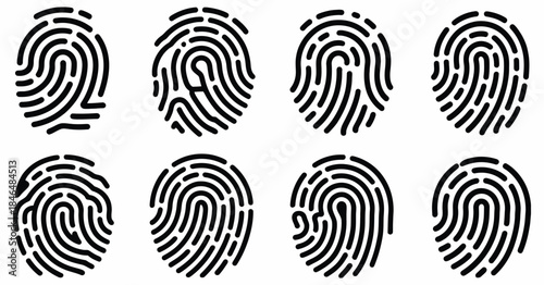 Fingerprint pattern set, vector illustration for identity verification, security technology, and biometric authentication, ideal for cybersecurity solutions, digital security graphics.