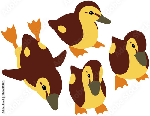 野鳥のカモのヒナたち　イラスト素材