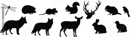 Animal silhouette collection, dragonfly hedgehog mouse squirrel deer birds foxes rabbits, minimalist black vector icons for wildlife education, design pack