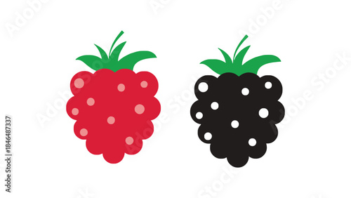 Raspberry and blackberry icons in modern style