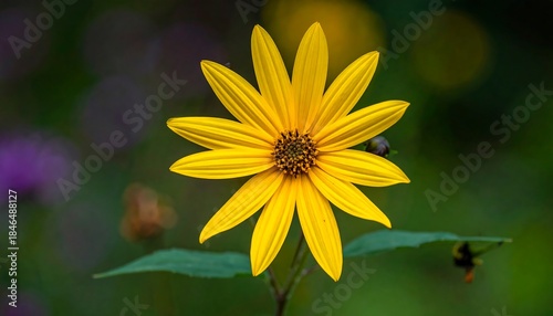Bright yellow flower blossoms in focus against a softly blurred background of green and other colors