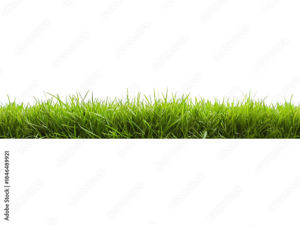 Naklejka premium Dense green grass strip isolated on transparent background. Realistic vegetation element for landscaping and environmental visuals.