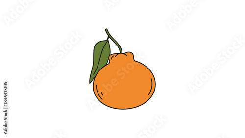 Vibrant orange fruit with green leaf