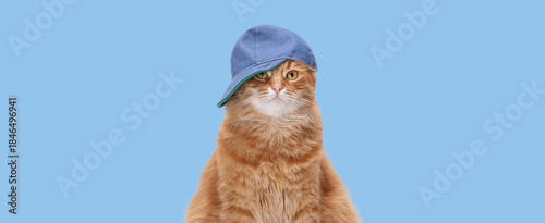 Ginger fluffy cat wearing a denim cap on a light blue background with copy space — trendy summer lifestyle portrait for teens and youth, ideal for ads, social media, banners and greeting cards.