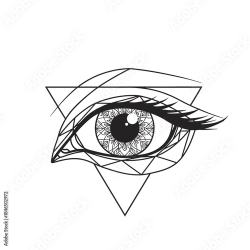 Human eye vector illustration with detailed iris and eyelashes design