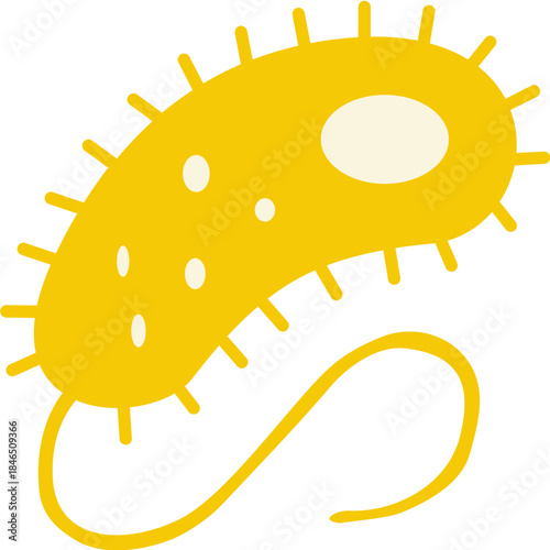 Bacterial Cell 