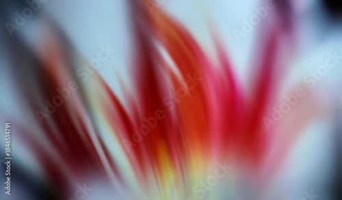 Abstract floral motion with vibrant colors.