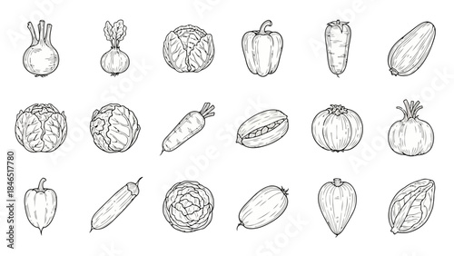 Vector illustration of various vegetables on white background