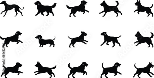 Dogs, Silhouettes, Breeds, Poses, Standing, Walking, Running, Tail, Ears, Fur, Pet, Flat Vector