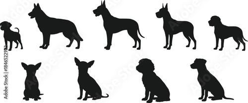 Vector dog breed silhouettes set, ten canine outlines, standing and sitting poses, pet breed icons, minimalist black shapes, breed identification reference