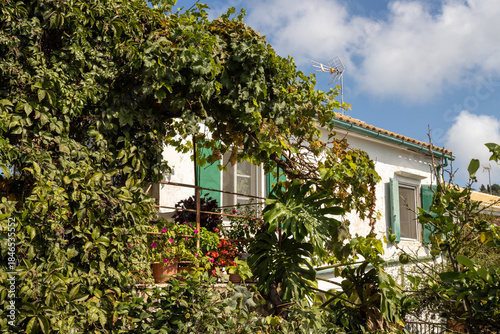 House in a wild garden, Paxos, Greece