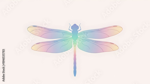 Colorful Dragonfly on White Background.