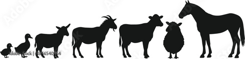 Farm animal silhouettes row, duckling to horse, barnyard animals comparison, simple black vector icons for education, children, agricultural design, teaching, print
