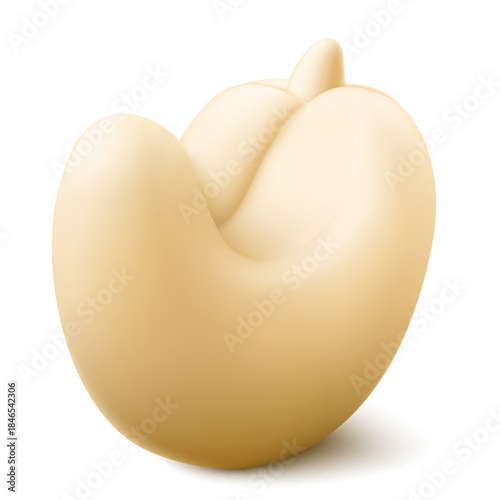 Cashew nut isolated on white background. Natural organic nutrition vegetarian food. Products for snack. Healthy cooking ingredient. healthy treat, a source of protein. Realistic 3d Vector illustration