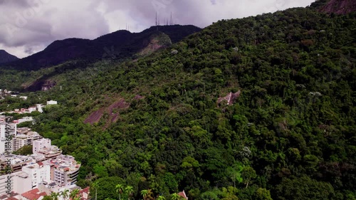 Beautiful Rio de Janeiro jungles Brazil