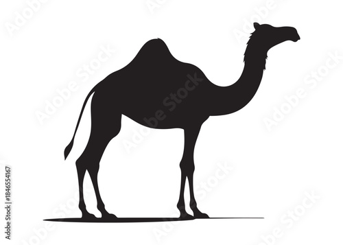 camel logo silhouette vector, camel animal logo vector silhouette illustration, black icon logo camel silhouette, arabian animal wildlife camel logo silhouettes vector on white background