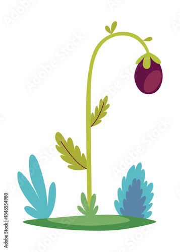 Fairytale fantasy bell flower on a white background