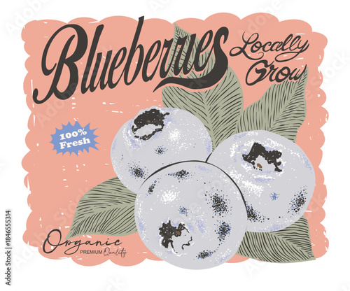 Sweet berry. Blueberries fruit artwork. Fresh Blueberries fruit print. Fruit club print design. Fruit local market. Organic farm poster design. Blueberries art.