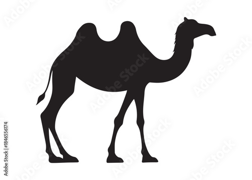 camel logo silhouette vector, camel animal logo vector silhouette illustration, black icon logo camel silhouette, arabian animal wildlife camel logo silhouettes vector on white background
