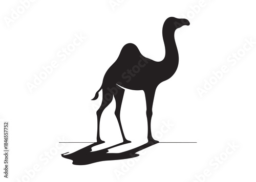 camel logo silhouette vector, camel animal logo vector silhouette illustration, black icon logo camel silhouette, arabian animal wildlife camel logo silhouettes vector on white background
